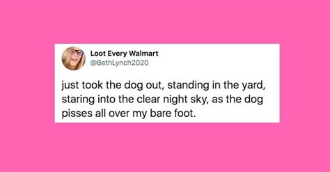 funniest cat and dog tweets this week|huffpost funniest tweets cats and dogs.